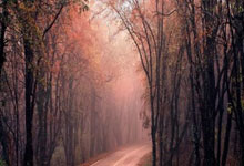 [法甲]圣埃蒂安取得重返法甲首胜.