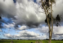 世界杯足球赛亚洲区外围赛：韩国3比2击退伊拉克 称霸小组榜首.