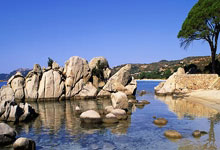 九游体育官网：中超首轮：四强开门红 四场战平手.